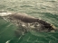 A whale of a time